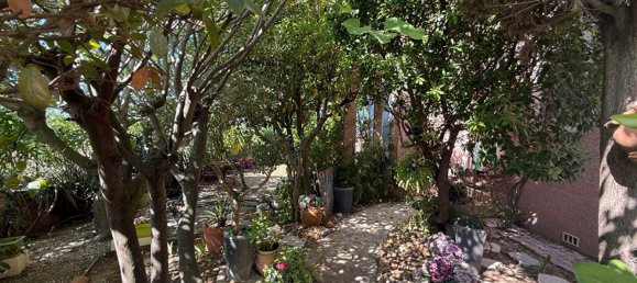 4 bedrooms House in Occitanie, France No. 299382 8