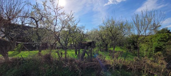 6 rooms Townhouse in Schwabach, Germany No. 280930 3