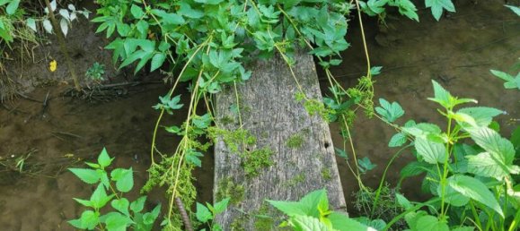 6 rooms Townhouse in Schwabach, Germany No. 280930 17