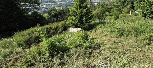  Land in Coburg, Germany No. 287951 3