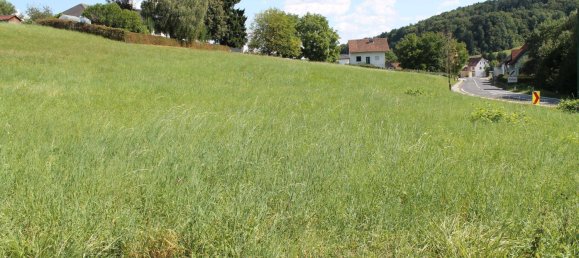 Земельный участок 3711м² в Маркт Хартмансдорф, Австрия № 234815 4