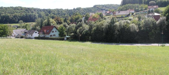 Земельный участок 3711м² в Маркт Хартмансдорф, Австрия № 234815 2