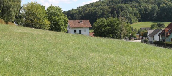 Земельный участок 3711м² в Маркт Хартмансдорф, Австрия № 234815 3