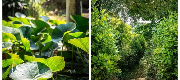 13 rooms Villa in Cetona, Italy No. 54537 33