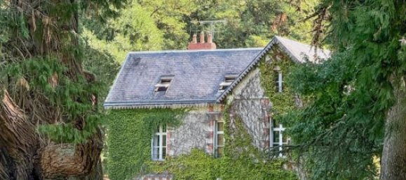 Casa T10 em Richelieu, France N.º 363258 6