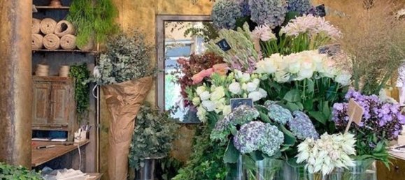 Gewerbliche Immobilie in Padua, Italy 36m², Nr. 229118 2