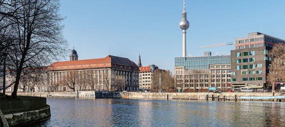 Пентхаус с 2 спальнями в Митте, Германия № 343343 18