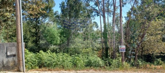 870m² Land in Sever do Vouga, Portugal No. 256662 3