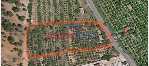 6100m² Land in Corigliano Rossano, Italy No. 173668 5