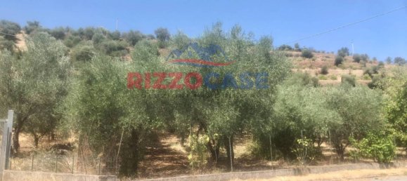 6100m² Land in Corigliano Rossano, Italy No. 173668 4