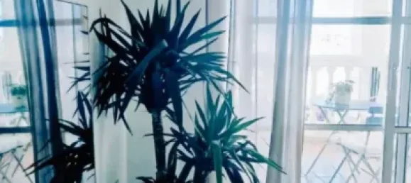 2 bedrooms Apartment in Mijas, Spain No. 138613 8