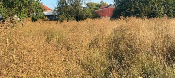 5 Schlafzimmer Haus in Saarlouis, Germany, Nr. 343290 4