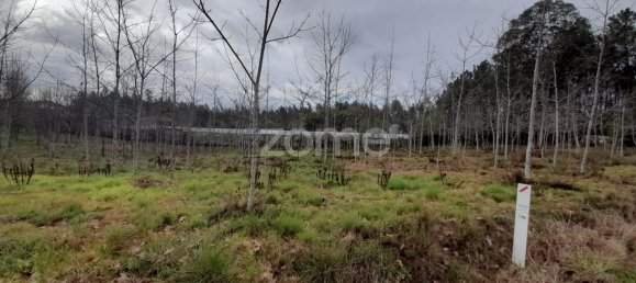 5400m² Land in Agueda, Portugal No. 74061 5