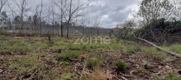 5400m² Land in Agueda, Portugal No. 74061 11