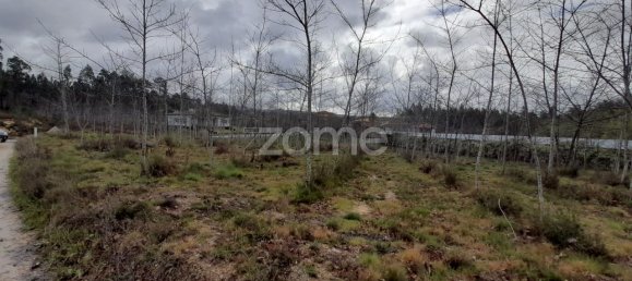 5400m² Land in Agueda, Portugal No. 74061 7