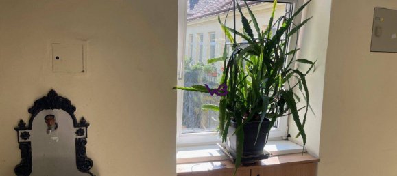 2 rooms Apartment in Langenzersdorf, Austria No. 261632 6