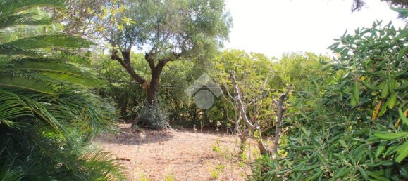 Villa T3 em Carovigno, Italy N.º 263986 42