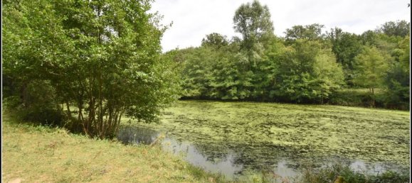 9 bedrooms House in Le Chatelet, France No. 262297 14