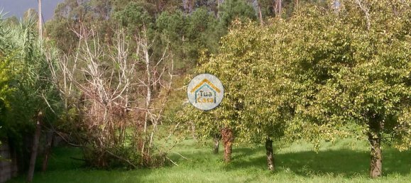 Terrain à Coimbra, Portugal 5020m² No. 72624 6