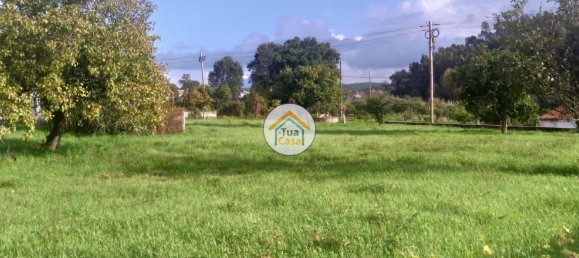 Terrain à Coimbra, Portugal 5020m² No. 72624 8