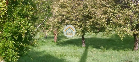 Terrain à Coimbra, Portugal 5020m² No. 72624 12