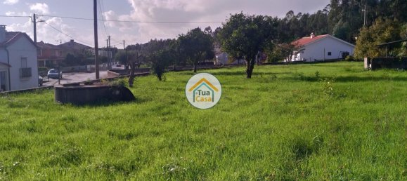 Terrain à Coimbra, Portugal 5020m² No. 72624 4