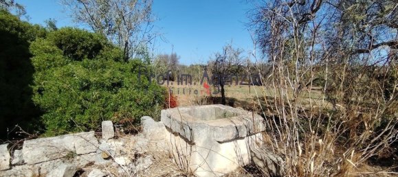 Garage à Carovigno, Italy 20m² No. 381943 7