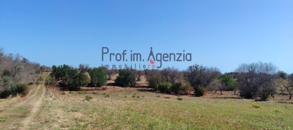 Garage à Carovigno, Italy 20m² No. 381943 8