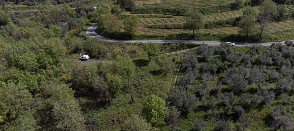  Land in Roccamonfina, Italy No. 328444 4