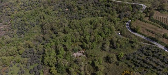  Land in Roccamonfina, Italy No. 328444 6