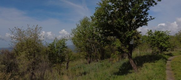  Land in Roccamonfina, Italy No. 328444 3