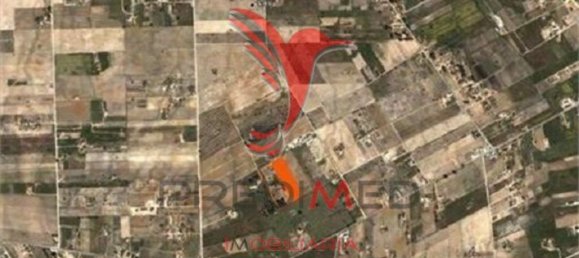 11750m² Land in Palmela, Portugal No. 77300 3