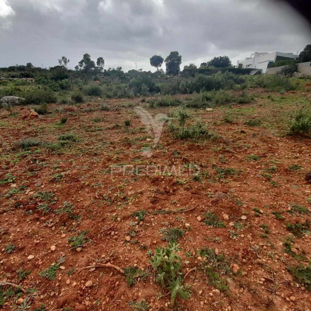 20240m² Land in Quelfes, Portugal No. 31633