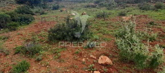 20240m² Land in Quelfes, Portugal No. 31633 7