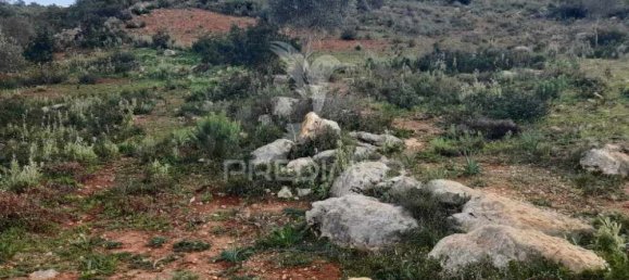 20240m² Land in Quelfes, Portugal No. 31633 8