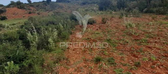 20240m² Land in Quelfes, Portugal No. 31633 3
