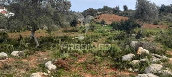 20240m² Land in Quelfes, Portugal No. 31633 9