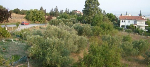 1008m² Property in Thessaloniki, Greece No. 8121 5