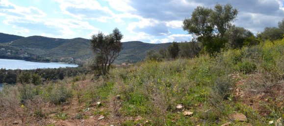 15000m² Hotel in Chalkidiki, Greece No. 6377 3