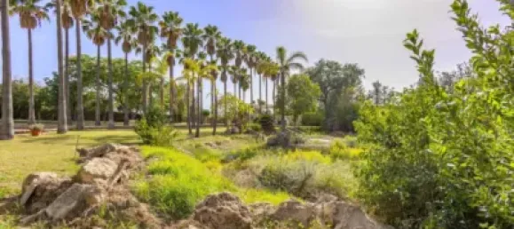 Villa T6 em Inca, Spain N.º 173964 4