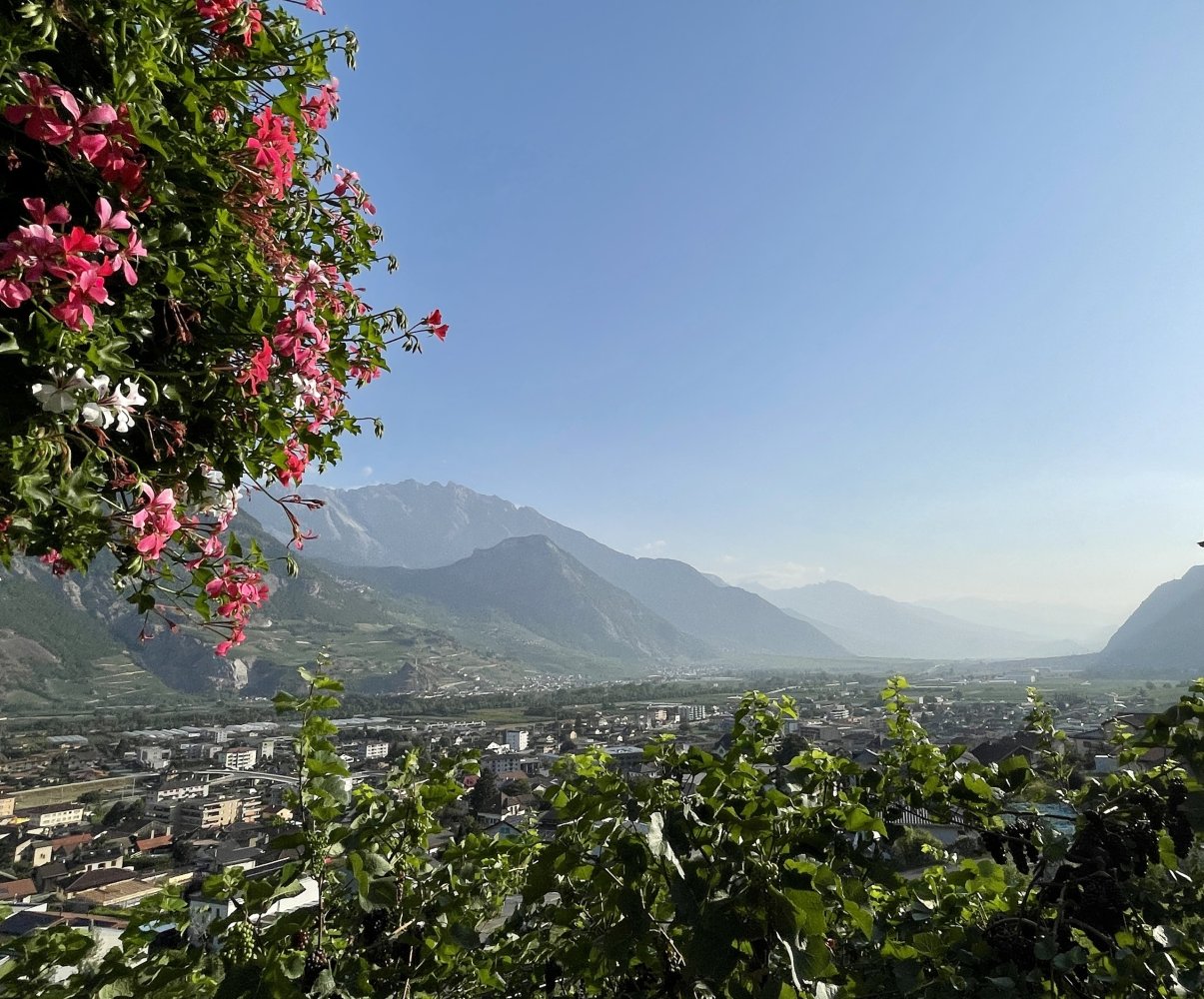 2 Schlafzimmer Eigentumswohnung in Saxon, Switzerland, Nr. 89