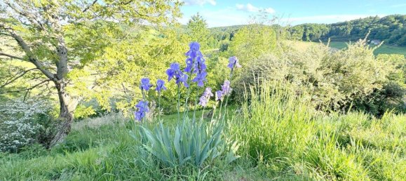 7-Zimmer Bungalow in Gnas, Austria, Nr. 102038 31