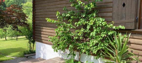 2 bedrooms Bungalow in Worgl, Austria No. 134418 10