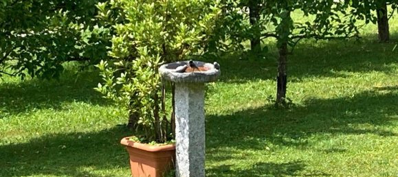 2 bedrooms Bungalow in Worgl, Austria No. 134418 3