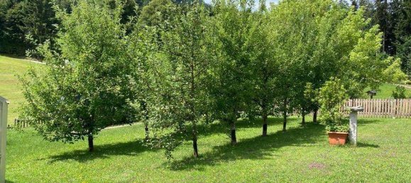 2 bedrooms Bungalow in Worgl, Austria No. 134418 5