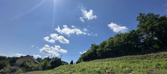 Terreno em Lannach, Austria N.º 41066 6