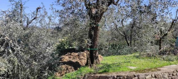 Casa de 2 dormitorios en Serravalle Pistoiese, Italy No. 192387 39