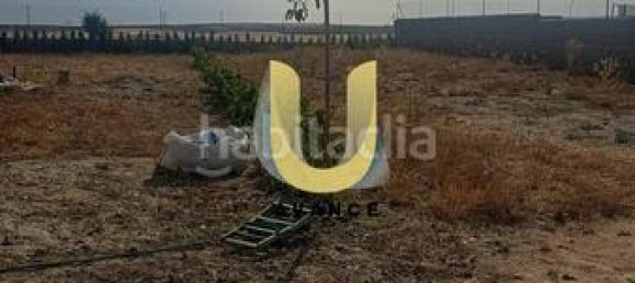 2700m² Land in Fuentiduena de Tajo, Spain No. 174106 4