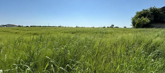 6 rooms House in Casalserugo, Italy No. 162336 17