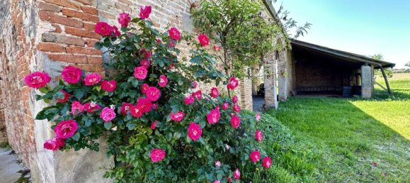 6 rooms House in Casalserugo, Italy No. 162336 3